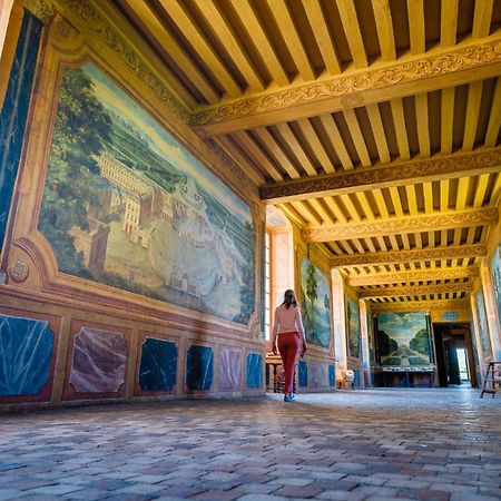 Chambres D'Hotes Au Chateau De Gizeux Buitenkant foto