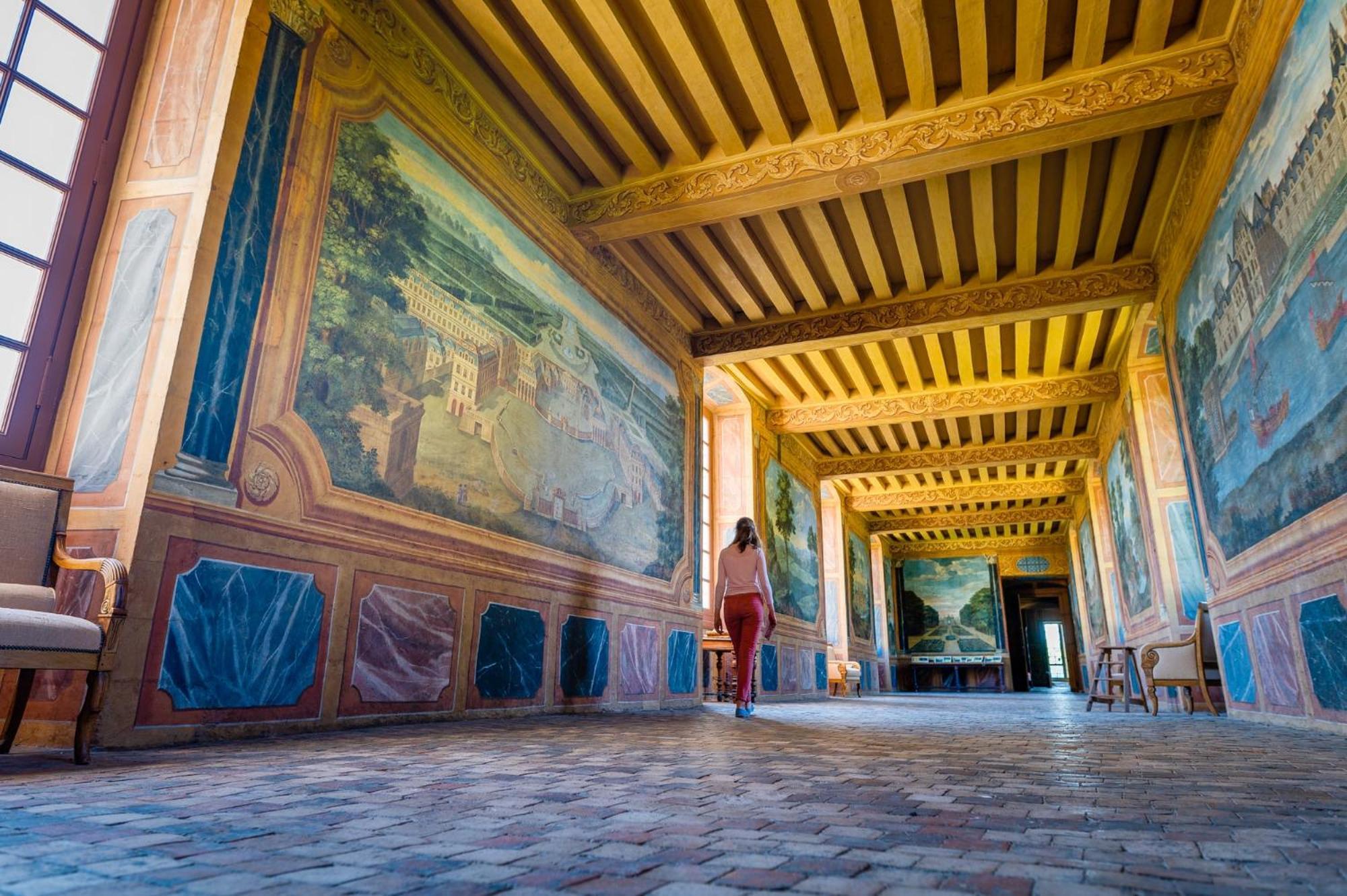 Chambres D'Hotes Au Chateau De Gizeux Buitenkant foto