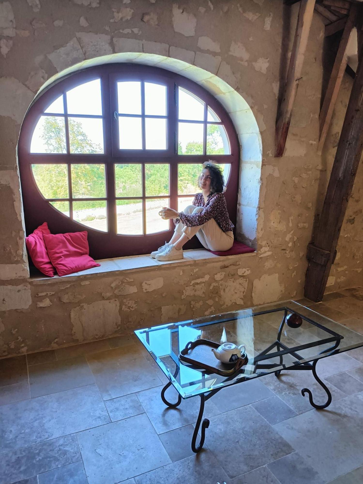 Chambres D'Hotes Au Chateau De Gizeux Buitenkant foto