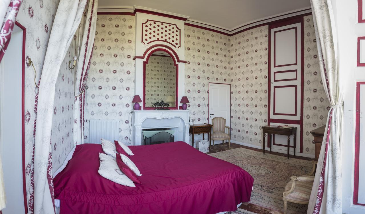Chambres D'Hotes Au Chateau De Gizeux Buitenkant foto