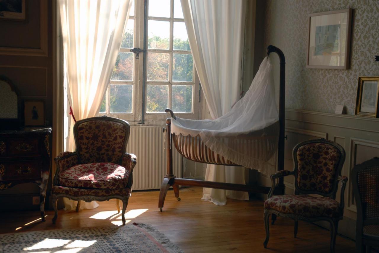 Chambres D'Hotes Au Chateau De Gizeux Buitenkant foto